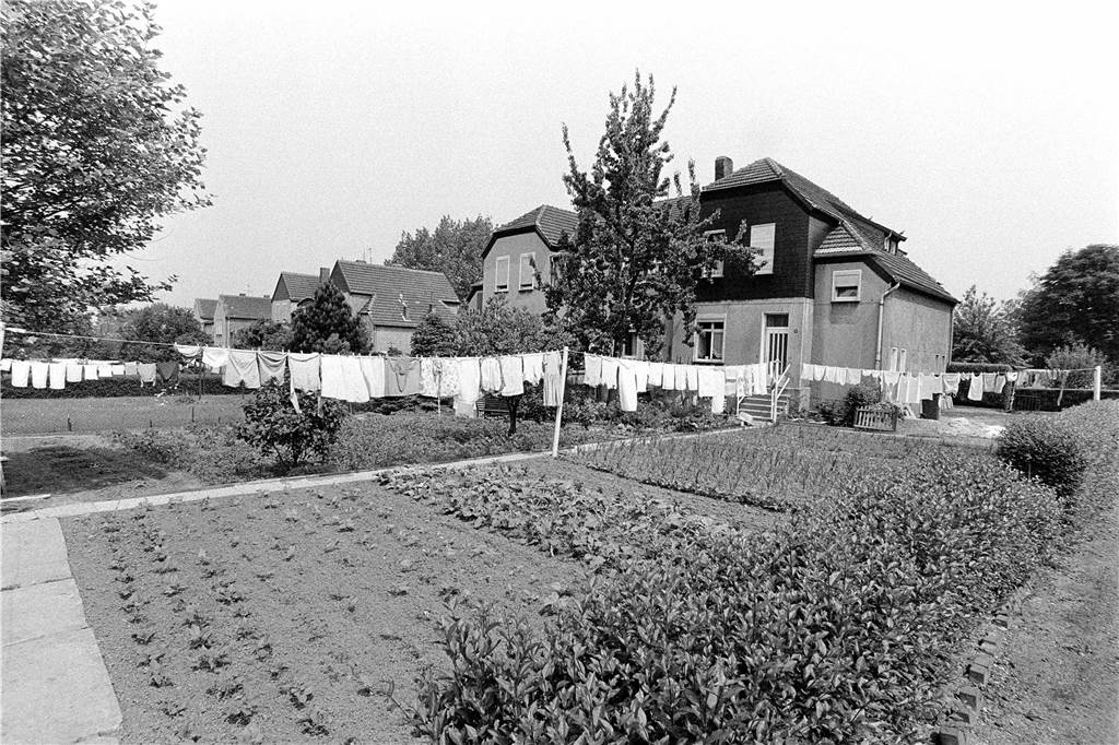 Auf großen und langen Leinen konnte die Wäsche aufgehängt werden.