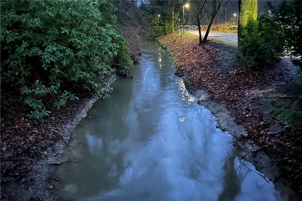 Baum stürzt auf Wohnhaus - großer Einsatz für die Feuerwehr Auf knapp einen Meter Breite ist dieser sonst schmale Bachlauf der Schondelle im Rombergpark durch den Regen angewachsen.