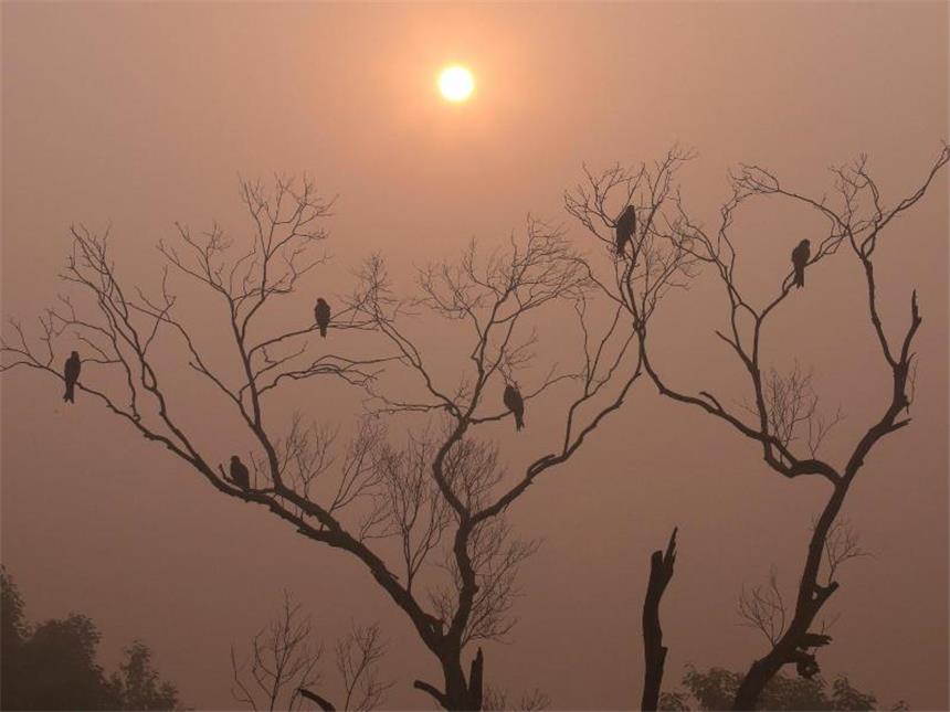 Neu Delhi kündigt Notmaßnahmen gegen Luftverschmutzung an Auf verlorenem Posten: Die Sonne versucht, sich durch den Smog über Neu Delhi zu kämpfen. Foto: Rajat Gupta