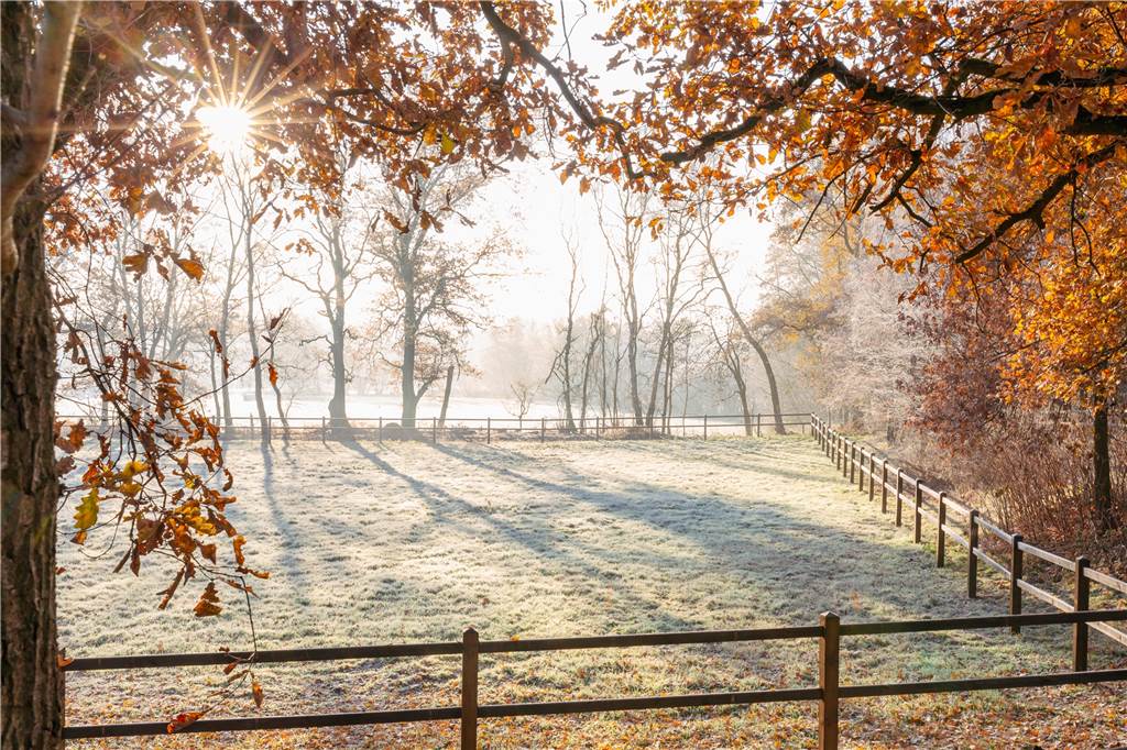 Sonne und Winterlandschaft