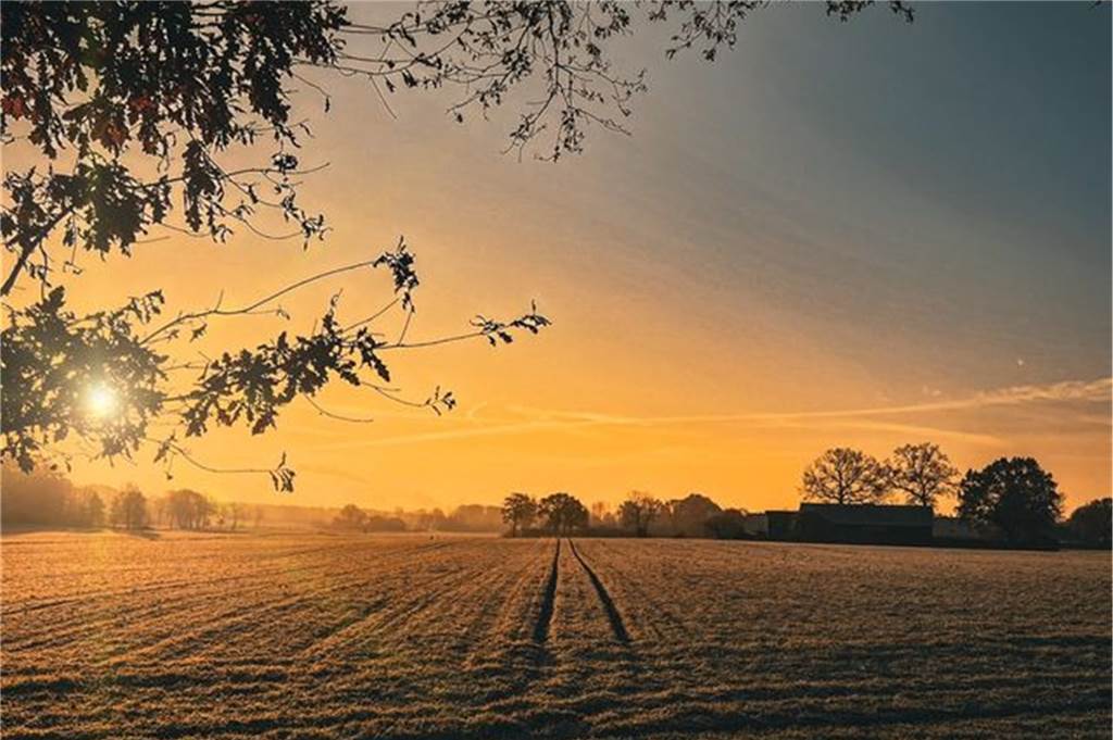 Orangene Sonnenstrahlen in der Landschaft