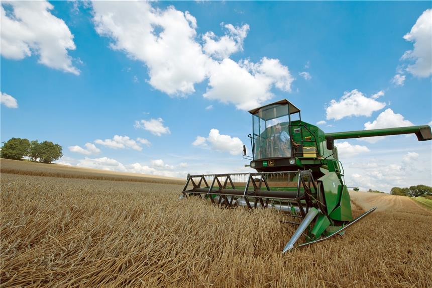 Hitze und Trockenheit machen Landwirten zu schaffen Aufgrund der langen Trockenheit mit sehr wenig Regen ist die Getreide-Ernte vieler Bauern in Gefahr.