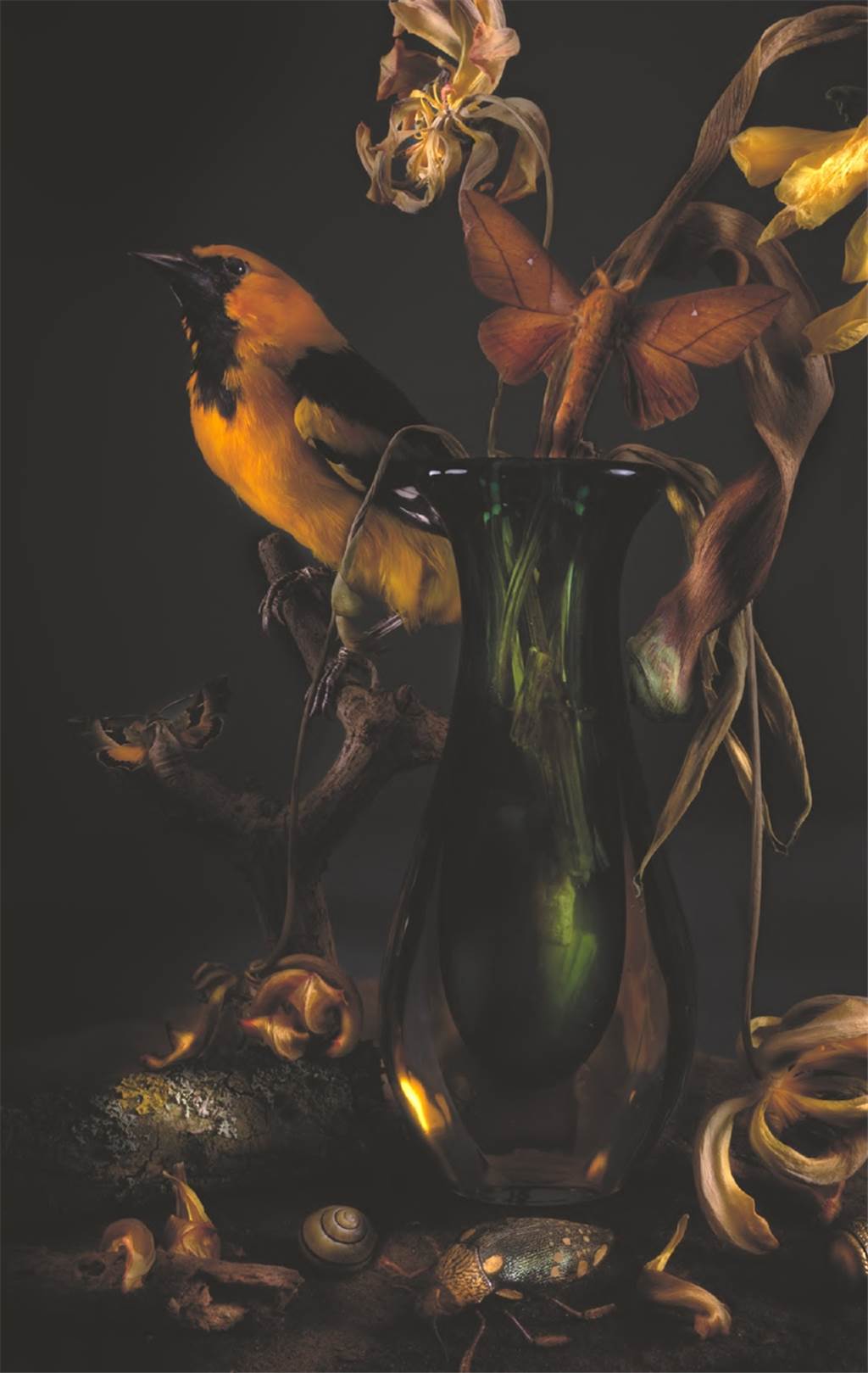 Wenn ein KI-Experte fotografiert: Aus 2000 Fotografien wird ein Kunstwerk Aus 2000 einzelnen Fotos ist diese Fotografie von Martin Hirsch entstanden, die im Galeriehaus Grosche auch durch ihr großes Format beeindruckt.
