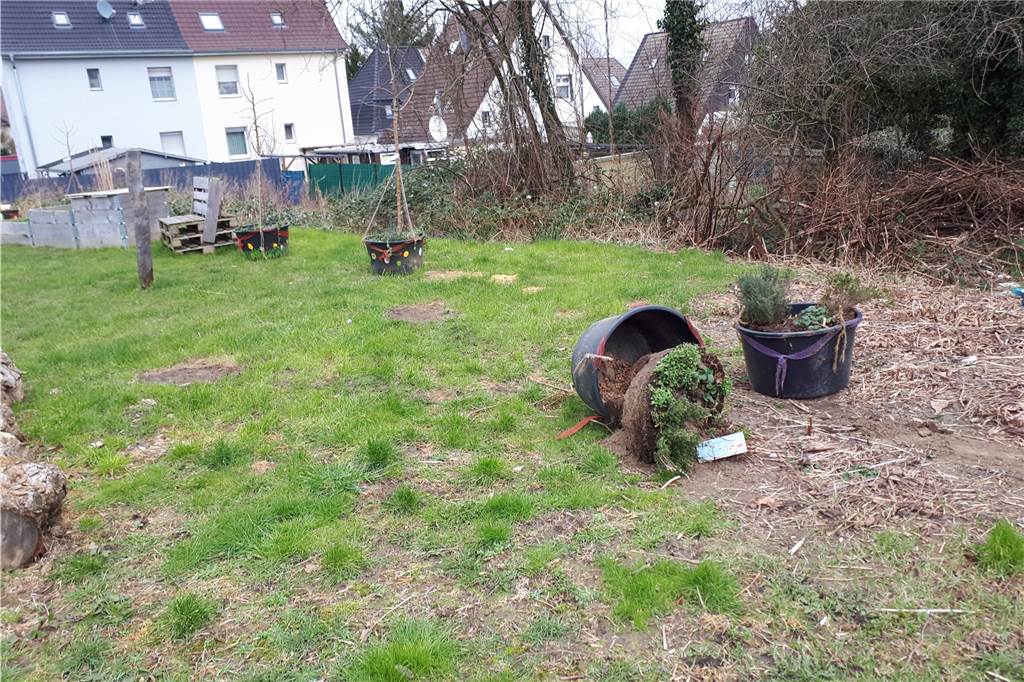 Unbekannte stehlen Lüner Gartenfreunden Apfelbäume im Quartier Aus den abgebildeten Pflanzkübeln haben Unbekannte die Apfelbäume entfernt und mitgenommen.
