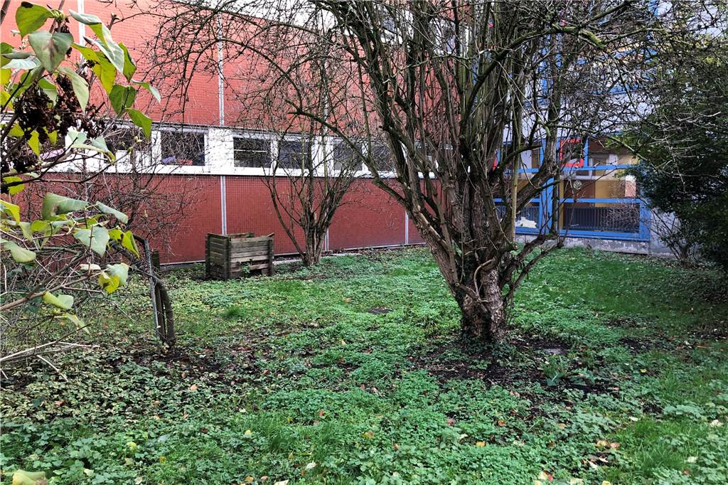 Aus diesem derzeit noch ungepflegten Innenhof an der Erich-Kästner-Grundschule könnte bald ein grünes Klassenzimmer werden