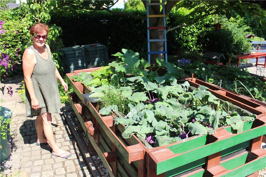 Pflanzen und Baumaterial: Birgit Meyers Garten besteht aus Geschenken Aus geschenkten Euro-Paletten hat sich Birgit Meyer Hochbeete gebastelt. In diesem Jahr liefern sie dicke Kohlrabi.