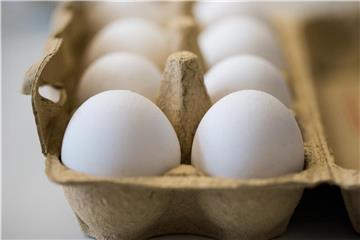 Auslöser der Preiserhöhungen ist nach Angaben der AMI-Experten der Fipronil-Skandal des vergangenen Jahres. Foto: Marcel Kusch
