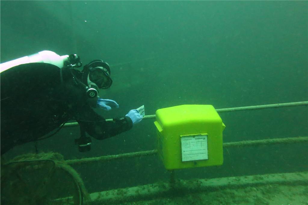 Der etwas andere Freizeitsport: TSG Tauchsport wirbt um Gleichgesinnte Außergewöhnlicher Fund: Über den Unter-Wasser-Briefkasten wurden wasserfeste Postkarten in die Heimat verschickt.