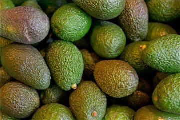 Avocado ist nicht nur ein Trendfood, sondern findet sich auch Haut- und Haarpflegeprodukten wieder. Foto: Daniel Karmann/dpa