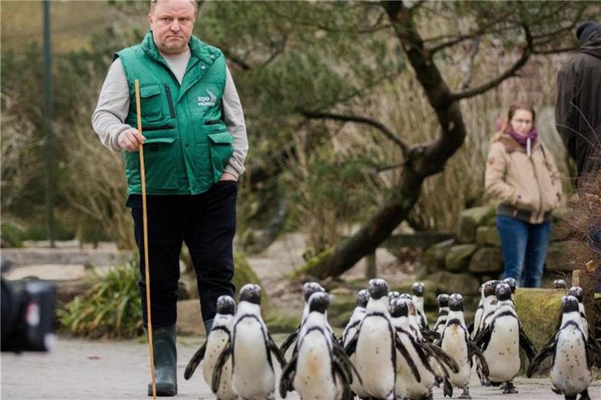 Axel Prahl freut sich „wie Bolle“ Axel Prahl als Kommissar Frank Thiel bei „Tatort“-Dreharbeiten im Allwetterzoo in Münster. Foto: Rolf Vennenbernd