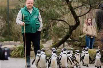 Axel Prahl als Kommissar Frank Thiel bei „Tatort“-Dreharbeiten im Allwetterzoo in Münster. Foto: Rolf Vennenbernd