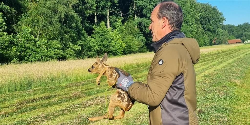 „Tiere vor qualvollem Tod retten“: Axel Tiede (59) rettet Rehkitzen das Leben Axel Tiede hält ein gerettetes Rehkitz auf dem Arm.