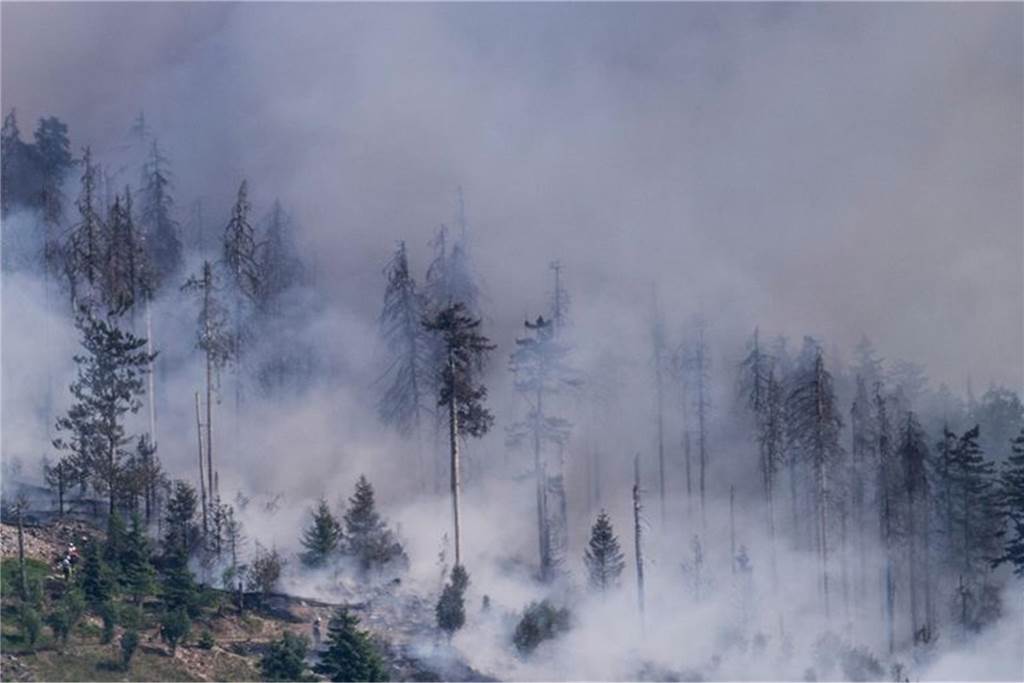 Bäume brennen bei einem Walbrand auf dem Altkönig bei Kronberg. Foto: Boris Roessler/dpa