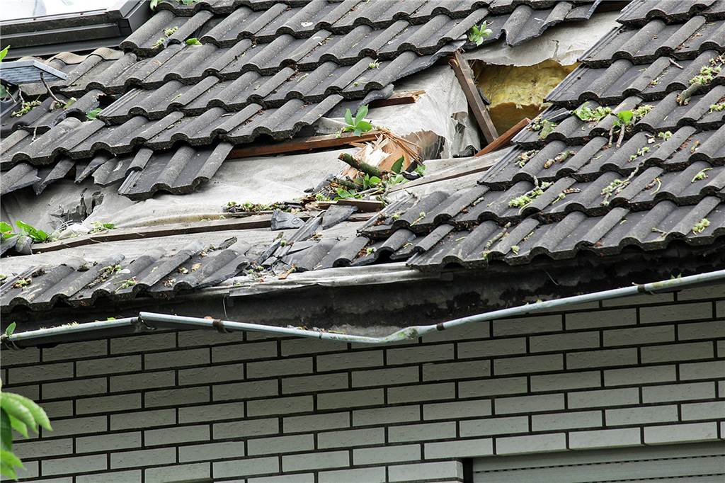 Schadens-Profi Guido Hoffmann: „Zeit vor dem Sturm ist unsere Chance“ Bäume, die auf Häuser stürzen, verursachen nicht selten schwere Schäden: Die Gebäudeversicherung zahlt das in der Regel.