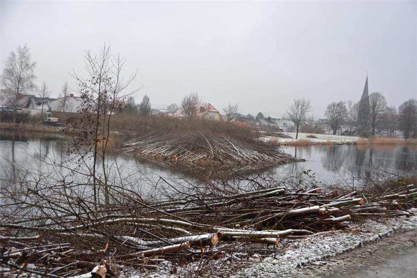 Grüne Achse: Erster Bauabschnitt zum Winter fertig Bäume und Strauchwerk auf der Insel und am Weg an der Alten Fahrt im Bereich des Hafenbeckens sind abgeholzt.