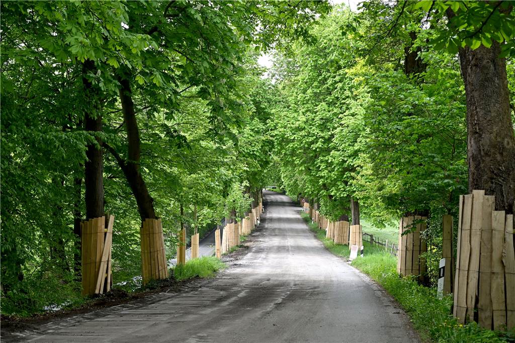 Bauarbeiten am Schlossberg Cappenberg: Es gibt gute Nachrichten Bagger und Fräse haben mittlerweile die Fahrbahn des Schlossberges in Cappenberg aufgenommen.