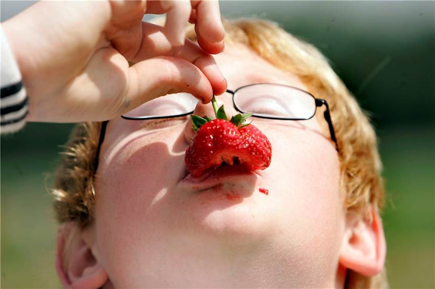 Erdbeeren zum Selberpflücken in Werne wieder möglich - mit Hygieneregeln Bald geht es wieder los: Nur noch wenige Tage, dann beginnt die Erdbeersaison bei den Werner Landwirten. Man darf auf den Feldern wieder selbst pflücken - allerdings mit neuen Hygieneregeln.