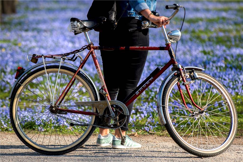 Fahrradfahren ist veganes Reiten: Die besten Sprüche rund ums Rad Bald startet sie wieder die Radfahrsaison, wenn der Frühling in den Sattel lockt. Wer mental fit ist, weiß auch den einen oder anderen witzigen Spruch anzubringen.