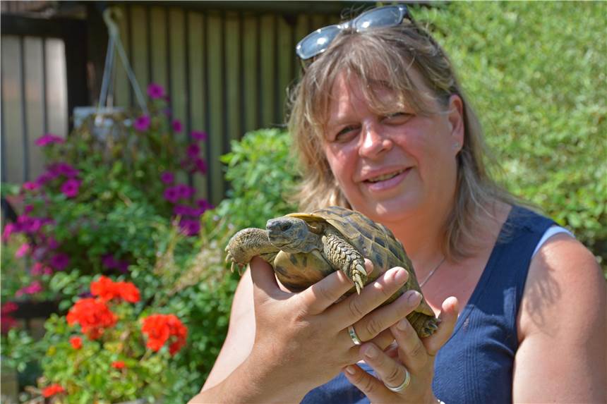 Grünschnitt auf Wildkräuterwiese: Tierschützerin erstattet Anzeige Barbara Klobusch kümmert sich um mehr als 100 Schildkröten.