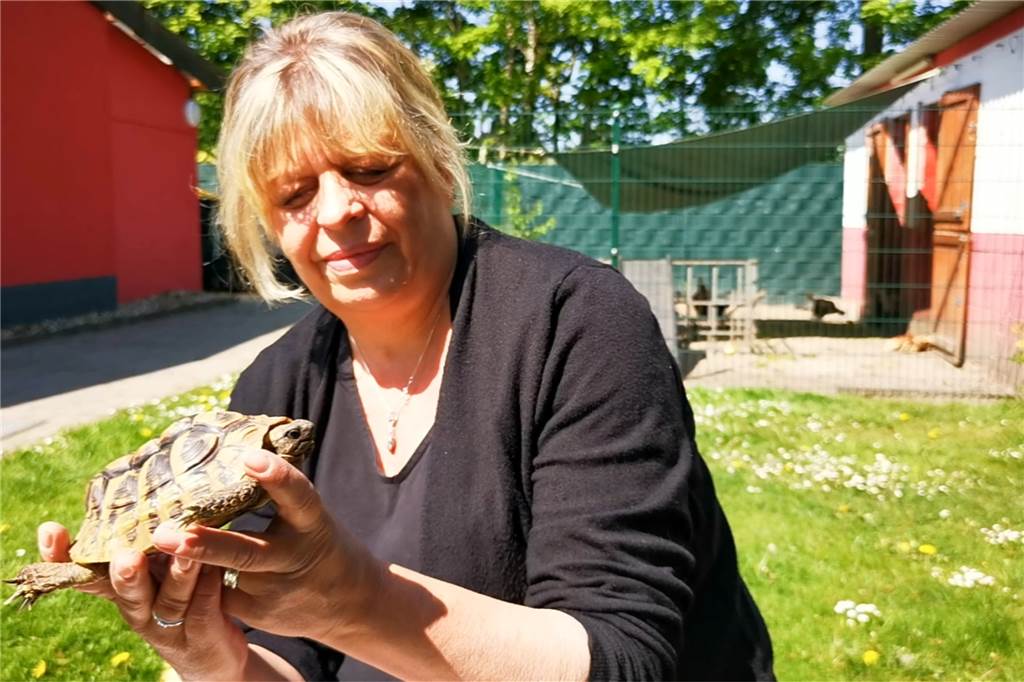 Tiere suchen ein Zuhause: Ein ganzer Drehtag im Tierheim Dorsten (mit Video) Barbara Klobusch von der Schildkrötenauffangstation stellt ihre Schützlinge vor.