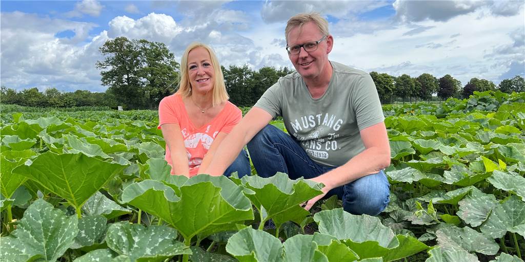 Über 3000 Kürbispflanzen werden bei Familie Wüpping per Hand gepflegt Barbara und Bernhard Wüpping freuen sich auf die neue Kürbissaison. Bis die Früchte aber reif sind, wartet noch eine Menge (Hand-) Arbeit auf die beiden.