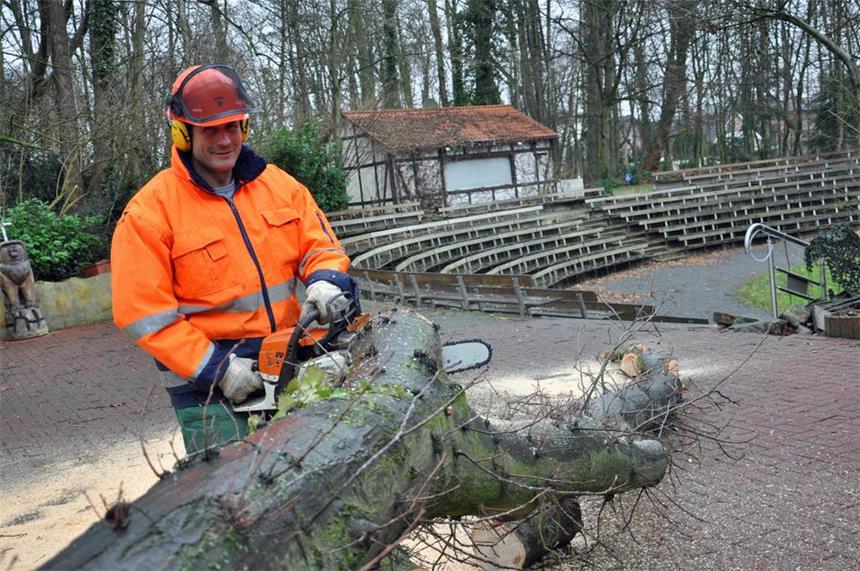 Bauhof-Mitarbeiter zersägen umgestürzte Eiche Bauhof-Mitarbeiter William Wortmann zerlegte am Dienstag die umgestürzte Eiche an der Freilichtbühne.