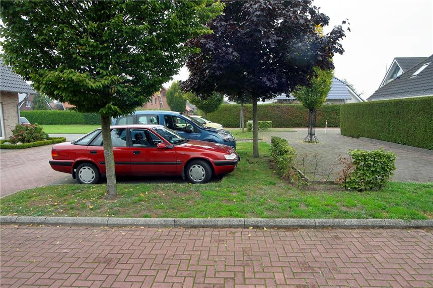 Parkplätze gegen Beete Baumbeete wie hier im Brinker Esch ärgern manche Anlieger, die gerne mehr Stellplätze hätten.