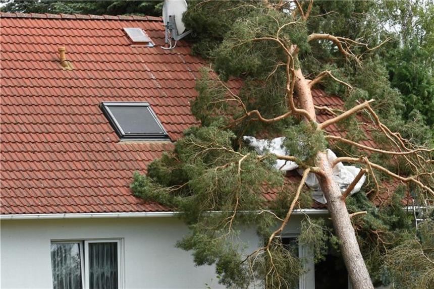 Was die Verkehrssicherungspflicht für Hausbesitzer bedeutet Baumfall bei Unwetter: Eigentümer müssen dafür sorgen, dass durch ihr Eigentum kein Schaden entsteht. Foto: Hendrik Schmidt/