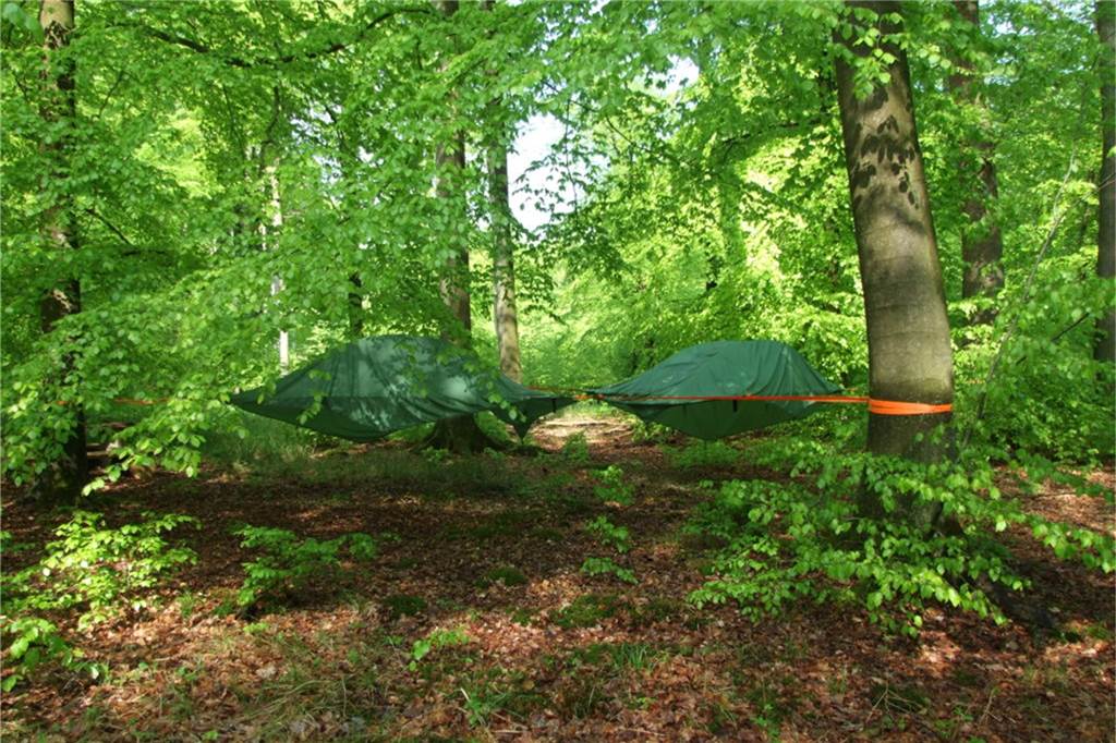 Außergewöhnliche Campingplätze in NRW: Das gibt’s nicht überall Baumzelte zwischen Lüerwaldbuchen.