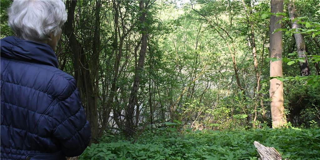 Neue Stever bereitet Waldbesitzer Sorge: „Wird ein erbärmliches Sterben“ Beate Siering-Oster sorgt sich um das Grundwasser in ihrem Waldstück am Alten Postweg. Der Teich, auf den sie blickt, habe in den vergangenen Jahren schon etwa zwei Meter Wassertiefe verloren. Sie fürchtet: Wird die Neue Stever realisiert, stirbt der Wald.