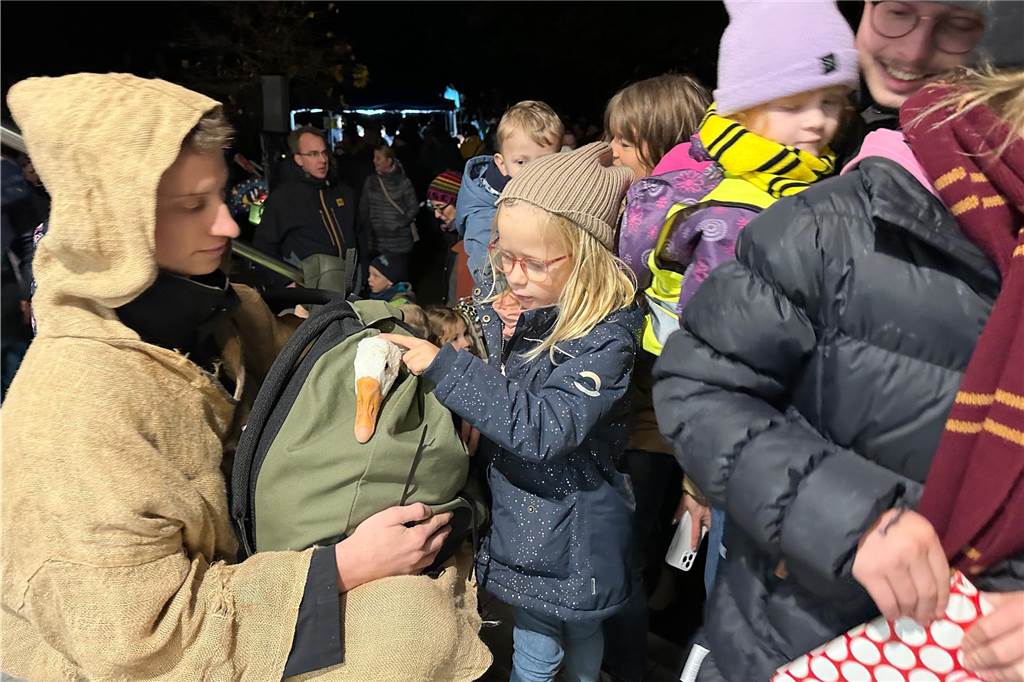 Begleitet von Hunderten Kindern und Erwachsenen mit bunten Laternen zog St. Martin am Samstag (11.November) durch Cappenberg. Nach Angaben der Organisatoren waren rund 600 Peronen beim Umzug dabei.