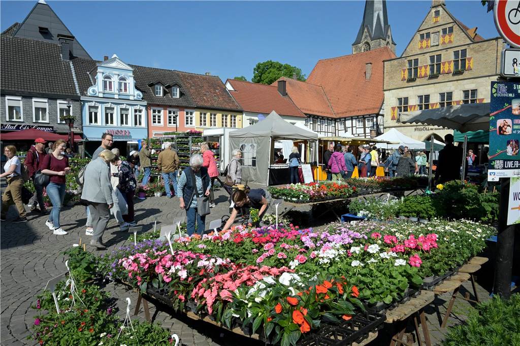 Begonien, Veilchen, Geranien: Jede Menge Sommerblumen waren im Angebot und sorgten für Farbtupfer auf dem historischen Marktplatz in Werne. Die warmen Temperaturen machten Lust zum Kaufen und vertrieben die Sorge vor Frostschäden. 