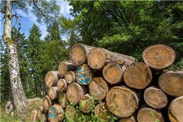 Begrenzter Vorrat: Ein Kernaspekt nachhaltiger Entwicklung ist der schonende Umgang mit natürlichen Ressourcen. Foto: Michael Reichel/dpa-Zentralbild/dpa-tmn