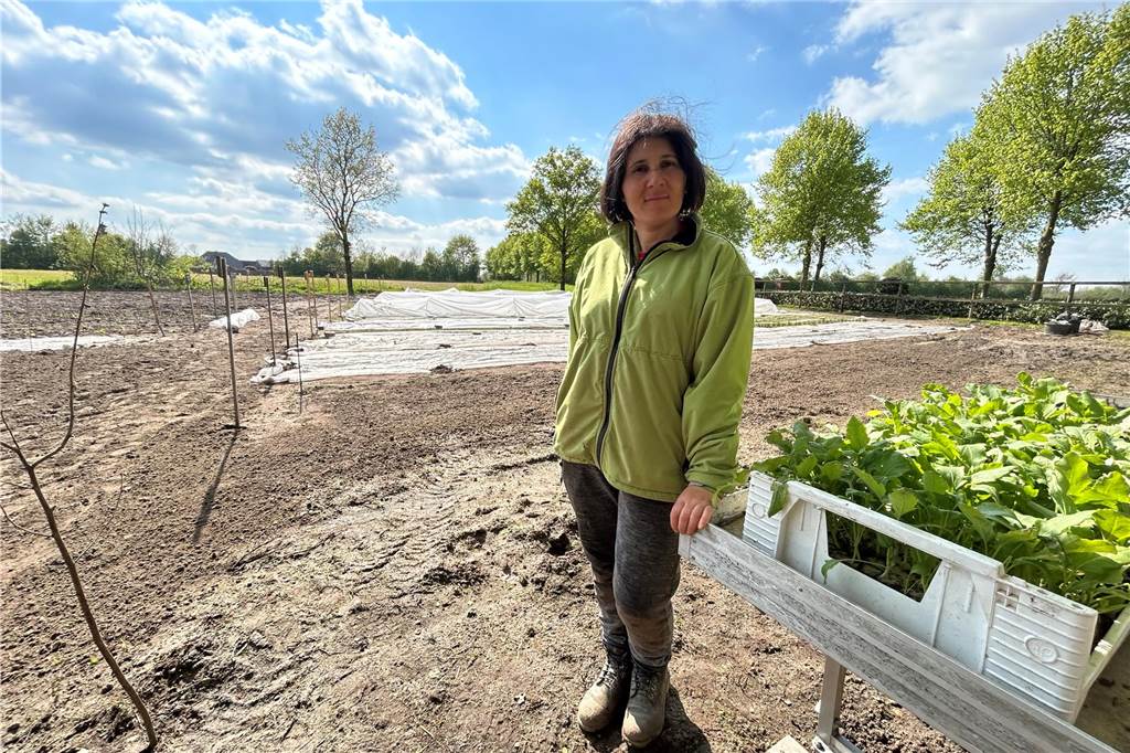 Vredener Hof setzt auf ursprüngliches Landwirtschaftskonzept Bei bestem Wetter pflanzt Elmira Ibrahimova auf dem alten Hof in Köckelwick die neuen Jungpflanzen ein.