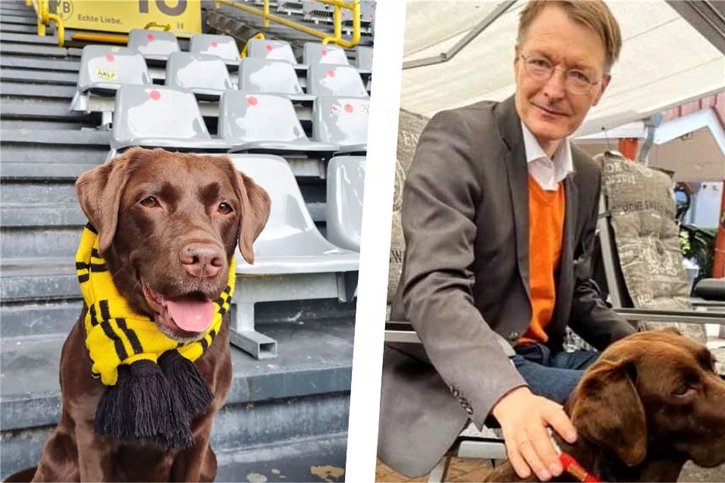 Dilara (14) ist depressiv : Ihr Traum: Ein Assistenzhund wie „Hanni“ Assistenzhündin Hanni im BVB-Stadion und mit Karl Lauterbach