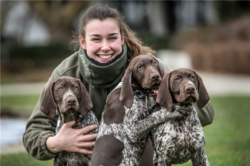 Messe „Jagd und Hund“ in den Westfalenhallen wird noch größer Bei den Schauen – einem Schwerpunkt der Messen – werden Hunde und Greifvögel gezeigt.