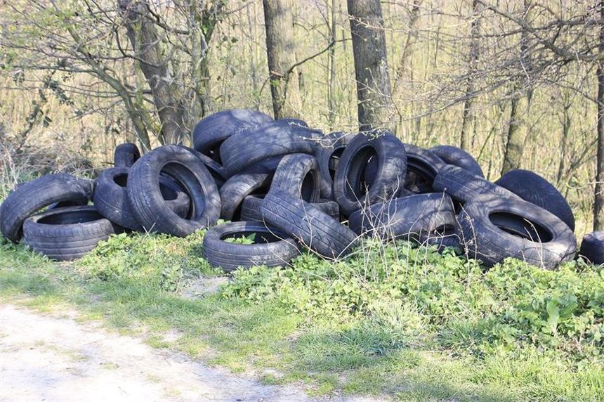 Bei der EUV häufen sich die Beschwerden wegen illegaler Müllentsorgungen.
