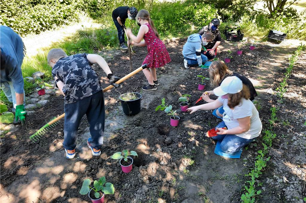 Dortmunder Schule stärkt ihre Schüler mit nachhaltigem Projekt Bei der Gartenarbeit herrscht großes Gewusel auf dem Acker der Paul-Dohrmann-Schule.