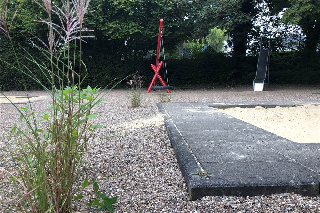 Neue Spielgeräte für Spielplätze: Castrop-Rauxeler können Vorschläge machen Bei der letzten Spielplatzbewertung: war der Platz an der Ecke Erlenweg/Tannenweg das Schlusslicht. Mit Chinaschilf sollten Spielbereiche abgetrennt werden. Von 15 Pflanzen waren schnell nur noch vier übrig. Jetzt soll der Spielplatz verbessert werden.