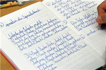 Bei der sogenannten Fibel-Methode werden Buchstaben und Wörter schrittweise und nach festen Vorgaben eingeführt, systematisch aufgebaut vom Einfachen zum Komplexen. Foto: Bernd Settnik/Symbolbild