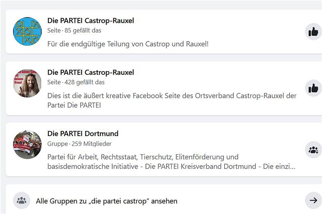 Zwei Facebook-Seiten von Parteien in Castrop-Rauxel sind Fakes Bei der Suche nach "Die Partei Castrop" zeigt Facebook die aktuelle und die alte Seite der örtlichen Partei sowie die Seite des Stadtverbandes aus Dortmund.