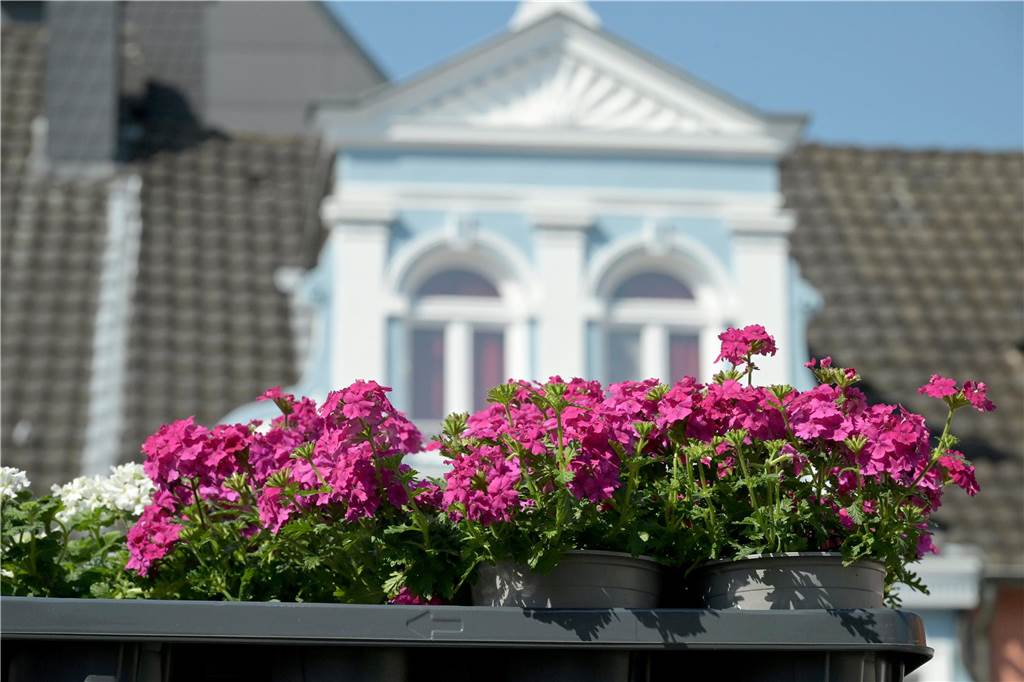 Bei dieser Perspektive zeigt sich, wie gut sich Blumen vor den Fenstern machen werden. 