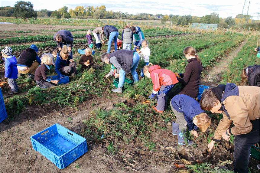 Bieterrunde für 2020: Wer will mitmachen bei der Borker Solawi? Bei einem Aktionstag der Solawi waren Kinder die "Ackerhelden".