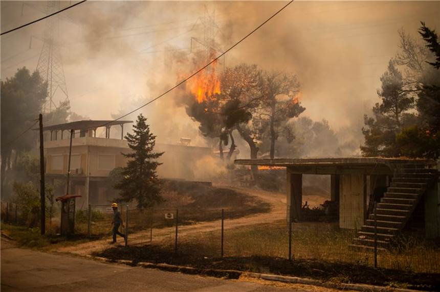 Südeuropa und Türkei kämpfen verzweifelt gegen Brände Bei einem Waldbrand nördlich von Athen brennt ein Baum in der Nähe eines Hauses.