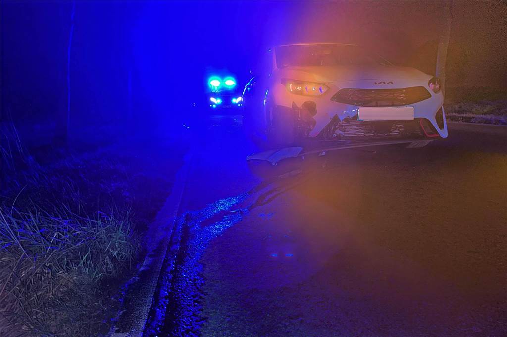 Reh stirbt nach Unfall zwischen Werne und Lünen Aus einem verunfallten Fahrzeug treten Flüssigkeiten aus.