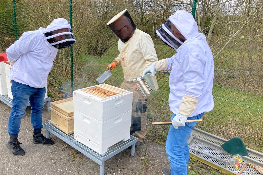 Süße Energie im Glas: Trianel lässt in Lünen Kraftwerksbienen fliegen Bei einer ersten Schau hat Imker Ludger Homann viele Informationen über Bienen weitergegeben.