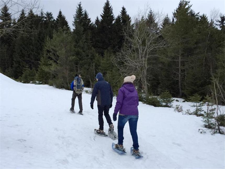 Wintersport im Thüringer Wald genießen Bei einer Schneeschuhwanderung leitet Wanderführer Paul Böttner die Gruppe zielsicher an der Spitze. Foto: Nicole Jankowski