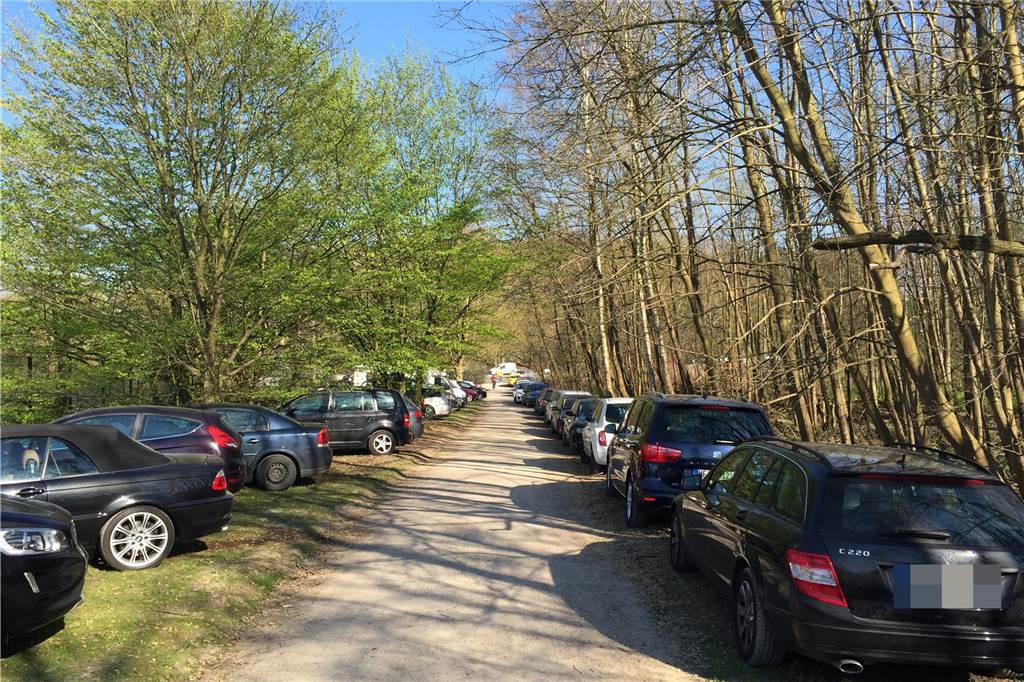 Autos parken im Naturschutzgebiet Bolmke.
