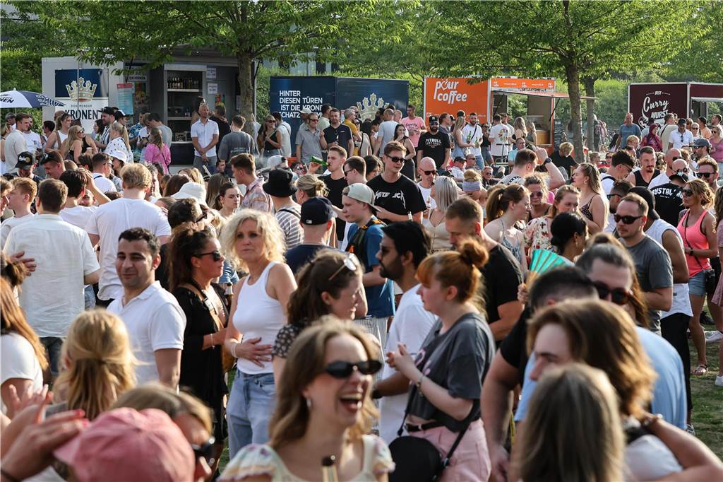 Bei sommerlichen Temperaturen feierten die Besucher des DJ Picknicks am Phoenix-See.