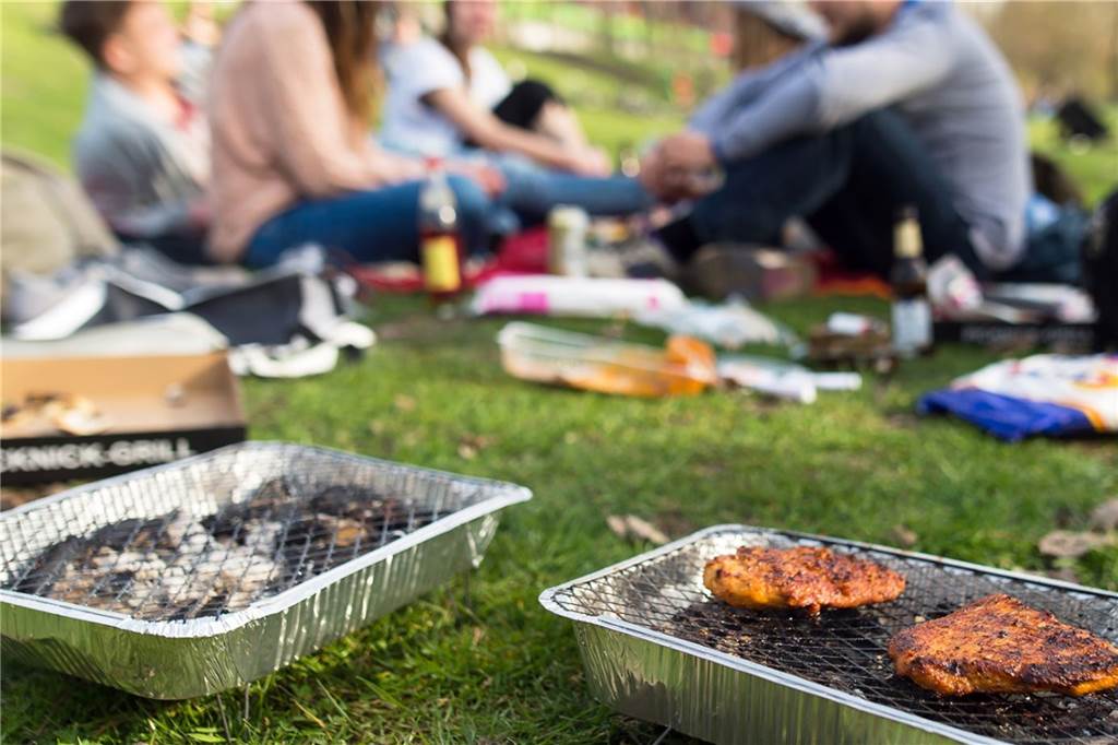 Die größten Energieräuber lauern ganz in der Nähe Grillen im Park